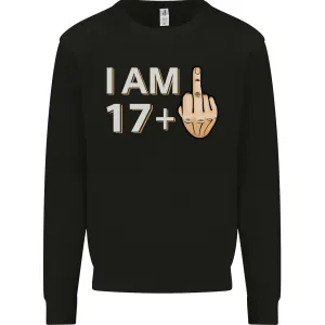 18th Birthday Funny Offensive 18 Year Old Mens Sweatshirt Jumper