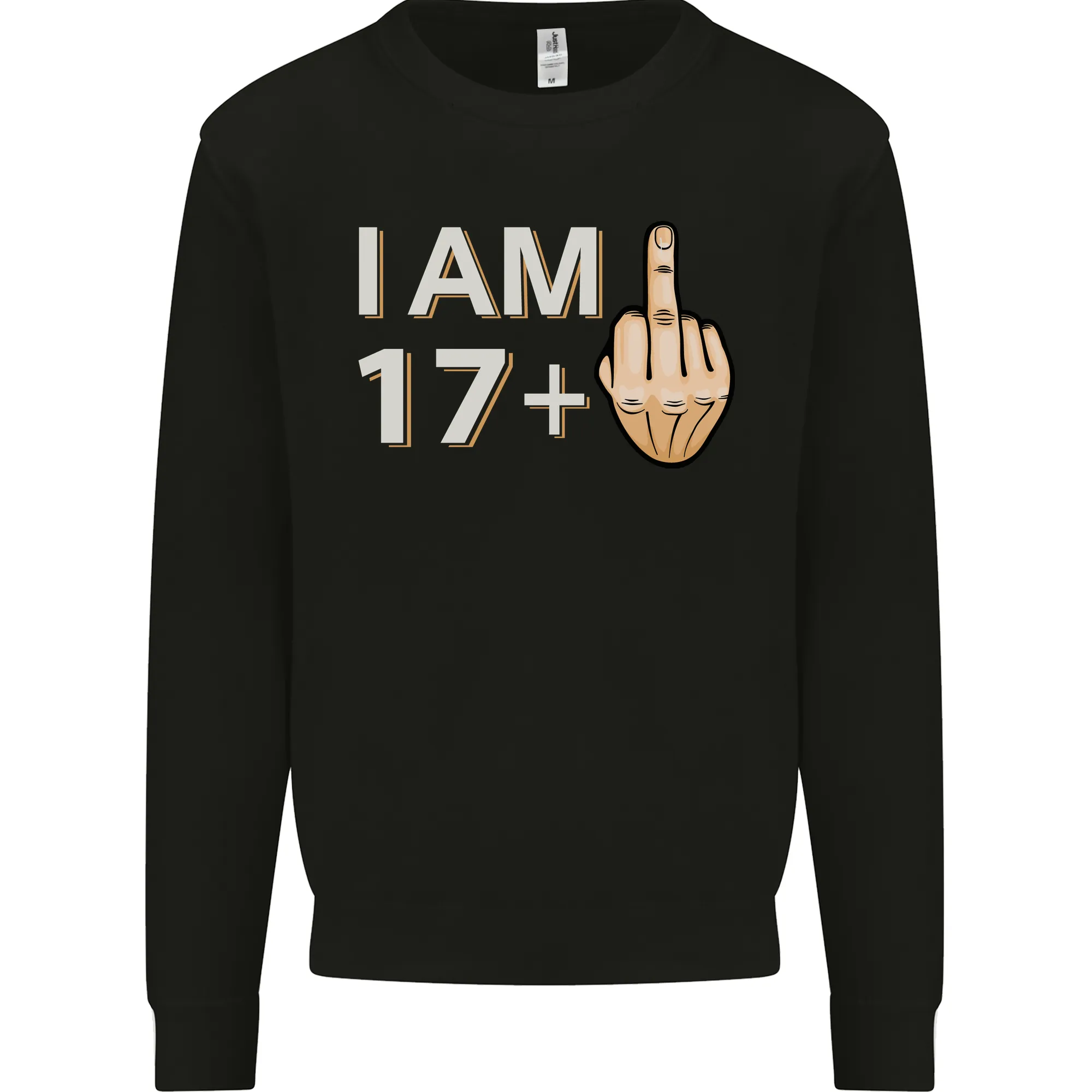 18th Birthday Funny Offensive 18 Year Old Mens Sweatshirt Jumper