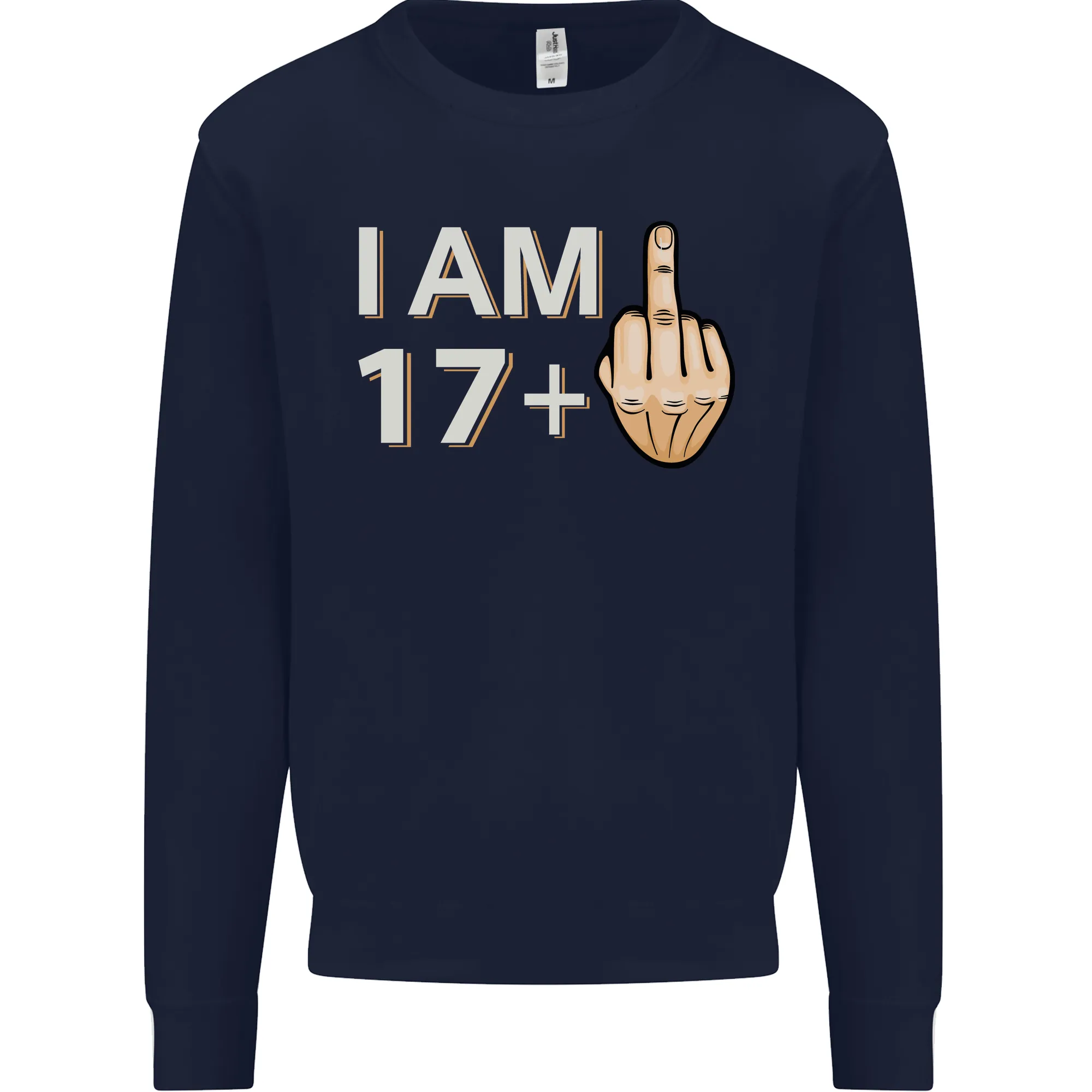 18th Birthday Funny Offensive 18 Year Old Mens Sweatshirt Jumper