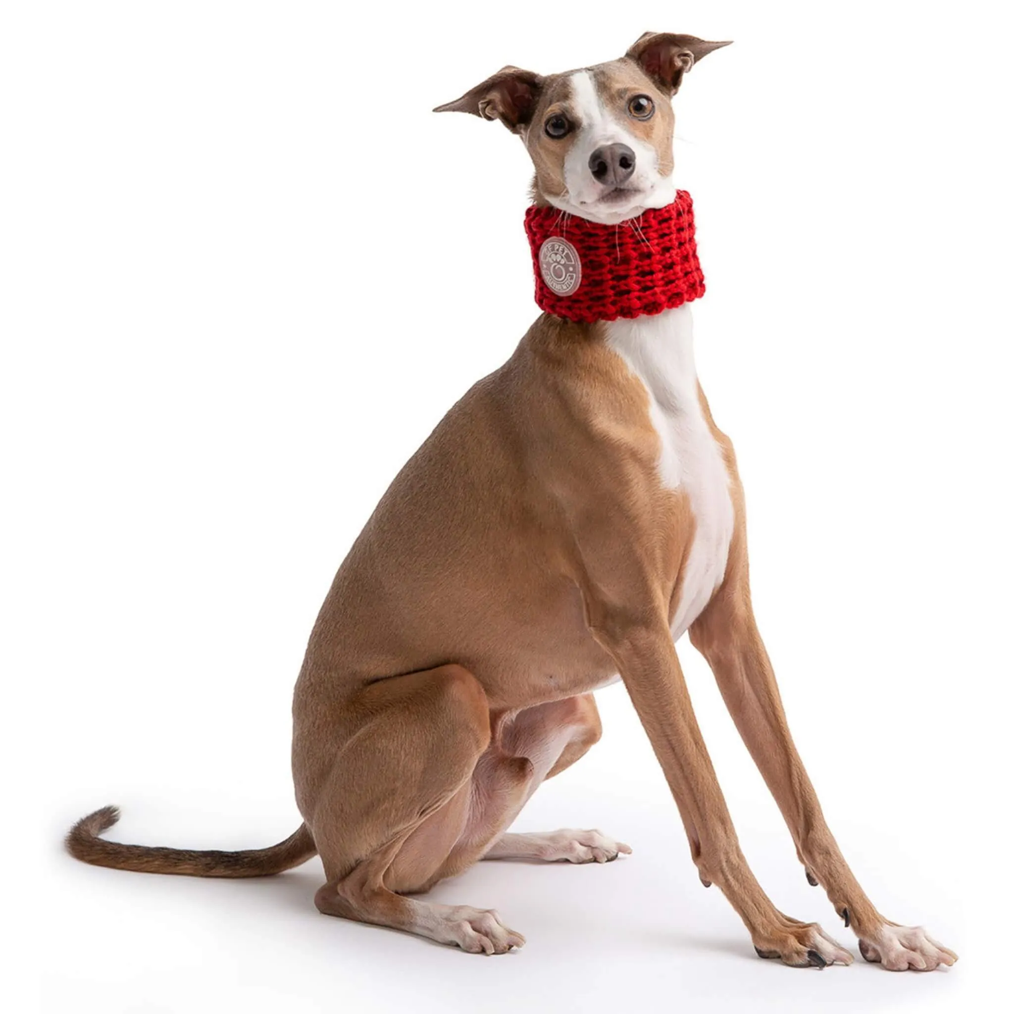 Chalet Tube Dog Scarf - Red