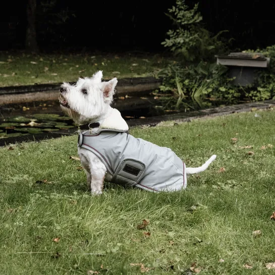 Dog Coat Waterproof 160G